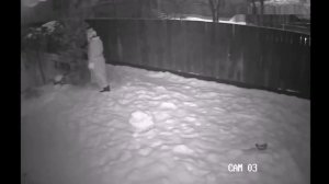 Вот это поворот! Дед Мороз существует на самом деле