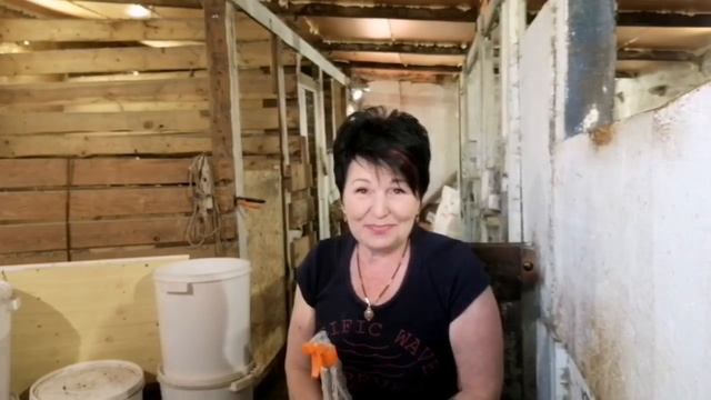 Как избавиться от мух в сарае. Качество мяса, чем кормить. смотреть онлайн