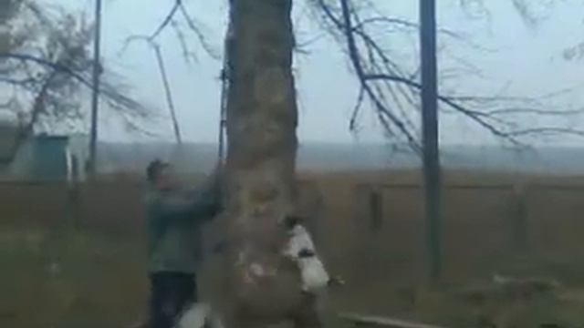 Видео0010 смотреть онлайн