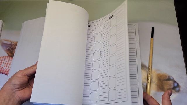 Обзор книг - классные идеи для выкраски карандашей Color Charts