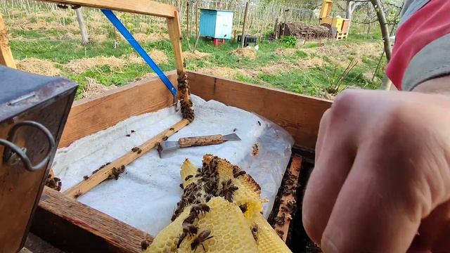 Расширение вощиной в апреле, как не прошляпить момент смотреть онлайн