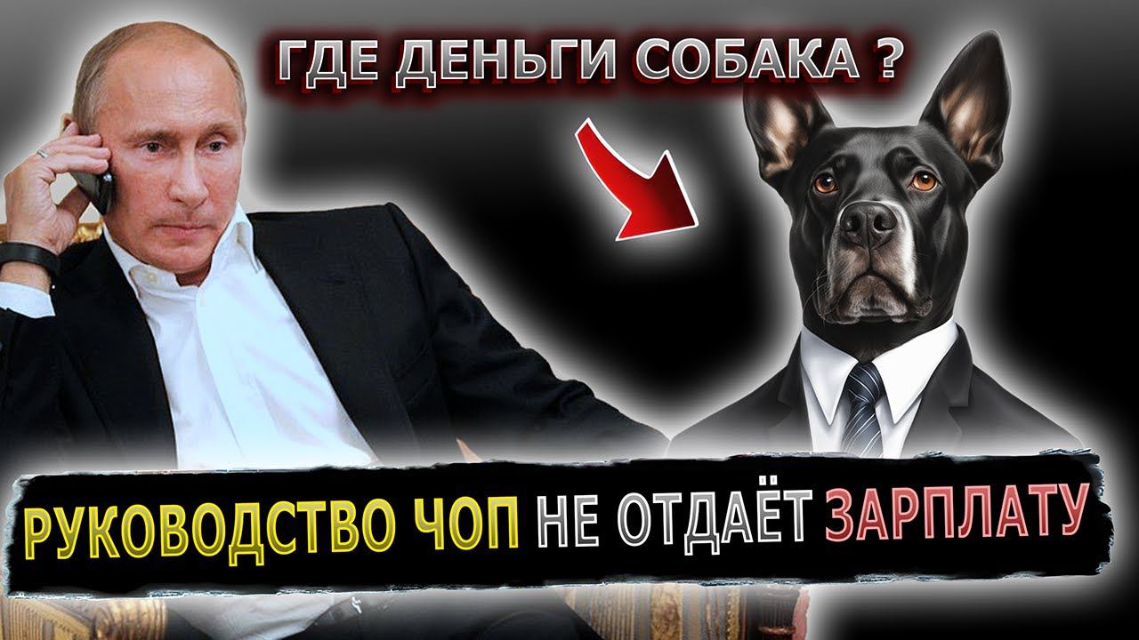 ПРАНКЕР ЗАСТАВИЛ РУКОВОДИТЕЛЯ ЧОП ЗАИКАТЬСЯ #пранк #пранки #чоп #охрана #директор #зарплата смотреть онлайн