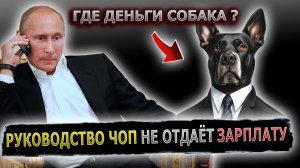 ПРАНКЕР ЗАСТАВИЛ РУКОВОДИТЕЛЯ ЧОП ЗАИКАТЬСЯ #пранк #пранки #чоп #охрана #директор #зарплата