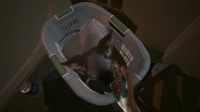 10 Интересных мест, которые ты пропустил в Cyberpunk 2077