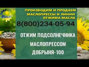 ОТЖИМ ПОДСОЛНЕЧНИКА МАСЛОПРЕССОМ ДОБРЫНЯ 100.mp4