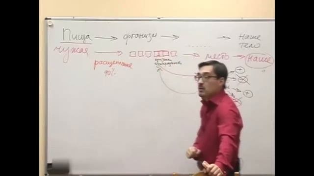 Пищевая аллергия. Определение, причины, механизмы. К. Заболотный