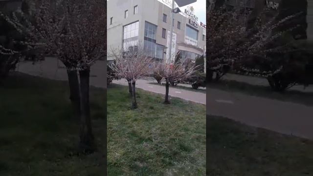 УХОД ОТ РЕАЛЬНОСТИ ПРИЧИНЫ И ЧТО С ЭТИМ ДЕЛАТЬ? КАК НЕ УХОДИТЬ В СЕБЯ? | УХОД В СЕБЯ