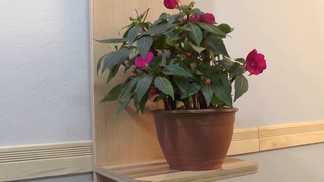 Akfix 705 Универсальный двухкомпонентный клей смотреть онлайн