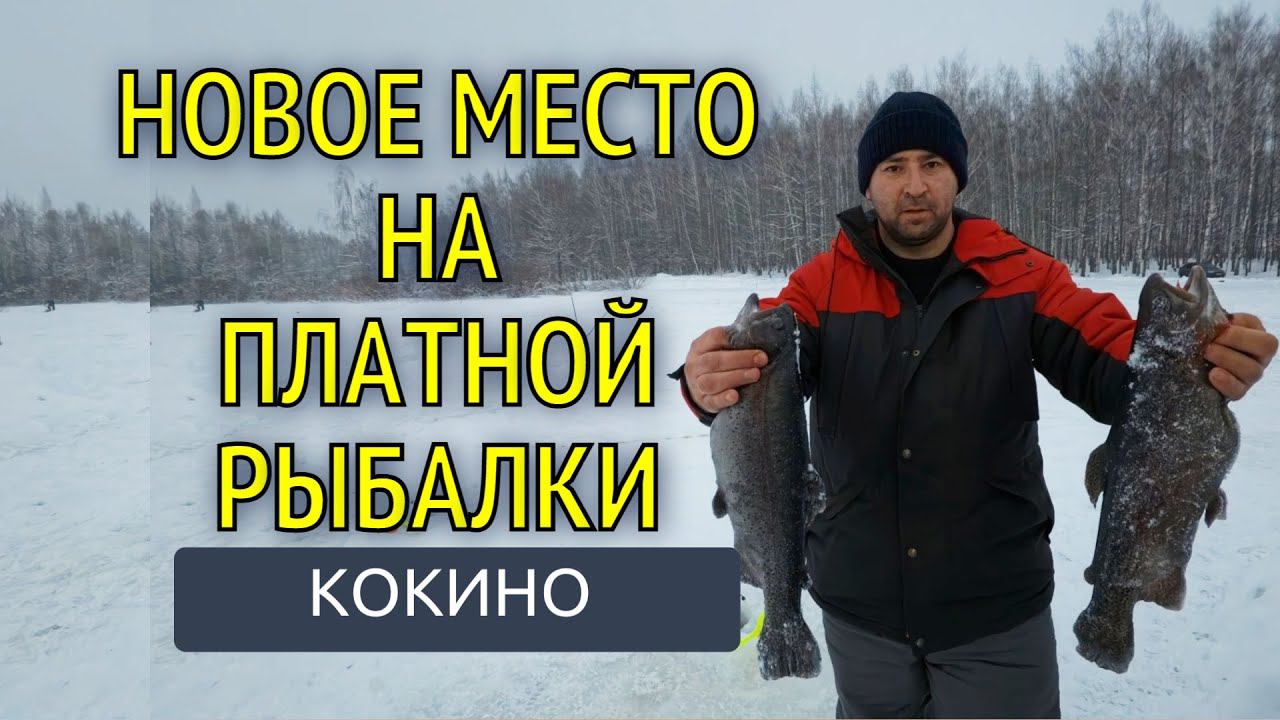 Ice fishing Новые места, новый опыт: рыбалка в Кокино на форель