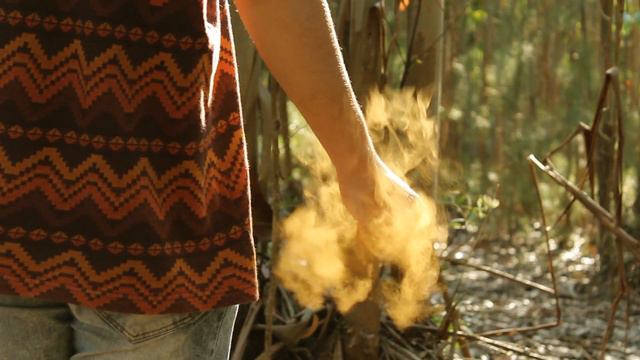 Polypodium | Thoughts 🌿 смотреть онлайн