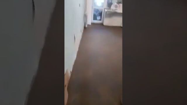 Полусухая стяжка пола в Хабаровске. Ул.Комсомольская, 60м2.