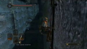 DarkSoulsII Семя Дерева Гигантов