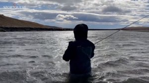 Looking For Adventure - Sea Trout Fishing In Argentina