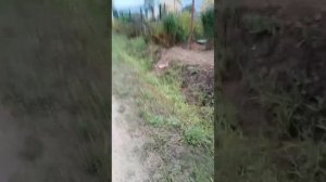 дренаж и ливнёвка ,2 в 1.