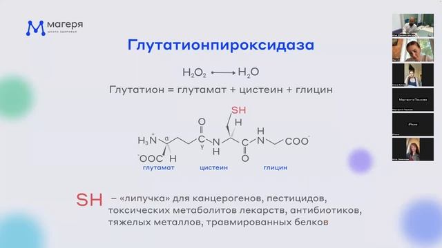 Тема: Свободно-радикальное окисление. Лекция № 13 студентам "Школа здоровья доктора Магеря".