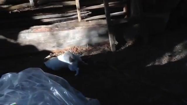 Как правильно вытираться смотреть онлайн