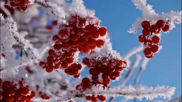 А СНЕГ ИДЁТ! смотреть онлайн