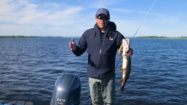 ТВИЧИНГ В КИСЛОТЕ / STEEZ MINNOW 125 В НОВОМ ЦВЕТЕ / АЛЕКСЕЙ ШАНИН