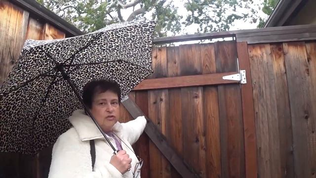 Американская бытовуха - ремонт калитки в Кремниевой Долине смотреть онлайн