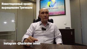 Тритикале. Инвестиционный проект.