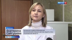 В Ульяновской области для восстановления 1,5 тысячи гектар леса уже заготовлены семена