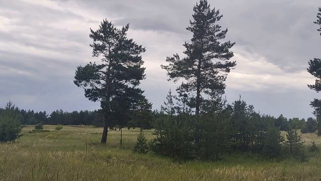 30 июня народный праздник Мануйло и Савелий. Народные приметы и традиции . Что нельзя делать.