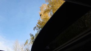 Проблемы с закрытием люка на Kia Sportage 3