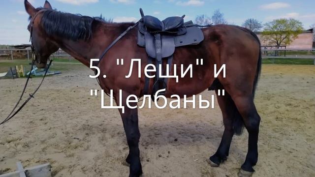 Семья В селе  / ИСПРАВИЛИСЬ