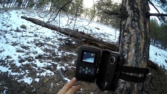 ОХОТА КАК ОНА ЕСТЬ НА САМОМ ДЕЛЕ HUNTING AS IT REALLY IS смотреть онлайн