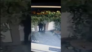 Драка с охраной в клубе. Пьяный боксер vs охранник.