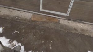 Как самому бесплатно сделать пудру для проявочного слоя из подручных средств