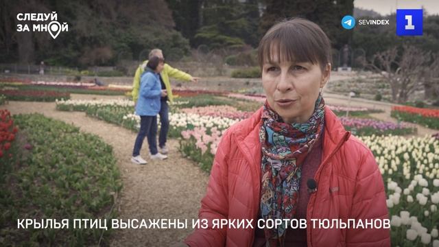 Какой аромат у Крыма: парад тюльпанов в Никитском ботсаду