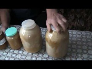 ЦВЕТЕНИЕ МЁДА