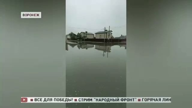 Воронежская лужа-чемпион стала всероссийской знаменитостью