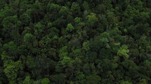 Коста Рика. История страны. Тропическая экзотика