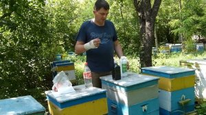 Обработка пчел от клеща Варроа. Щавелевая кислота или Бипин. Лечение Акарапидоза пчел.
