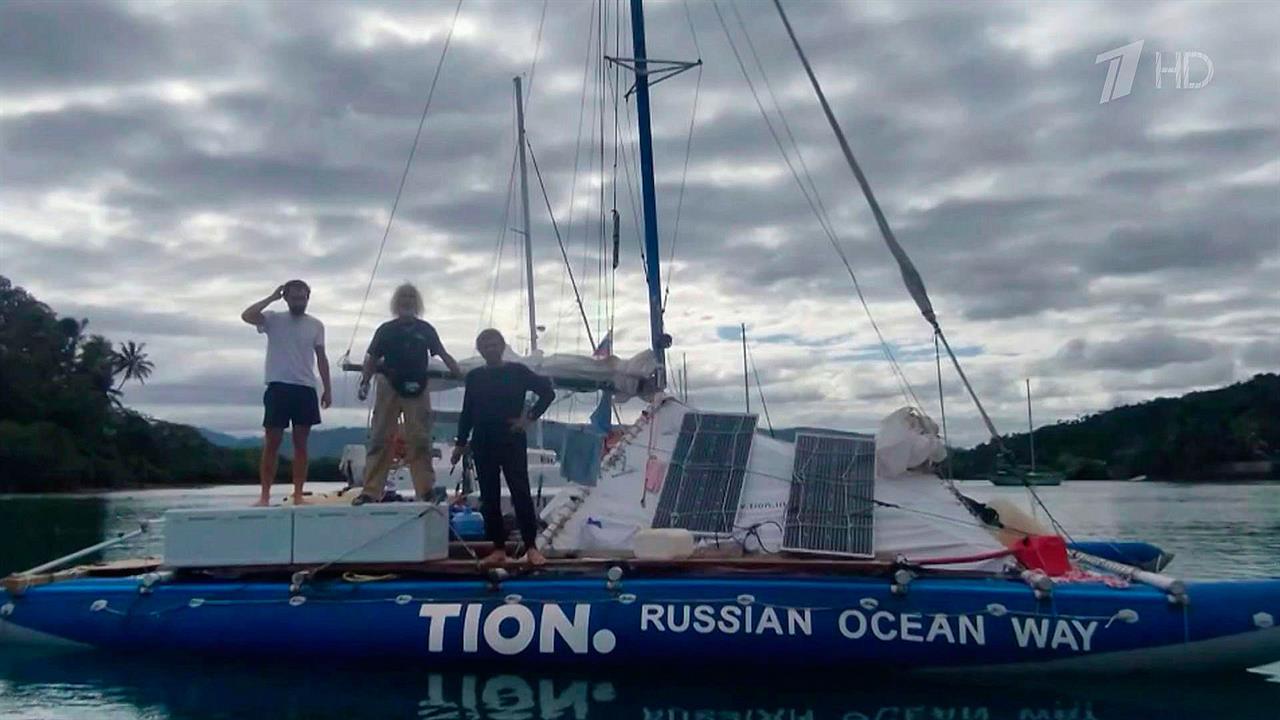 Из-за атаки акул пришлось прервать экспедицию Русского географического общества