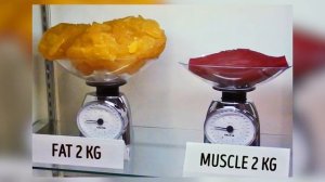 ЧТО БУДЕТ С ТЕЛОМ, ЕСЛИ БЕГАТЬ КАЖДЫЙ ДЕНЬ