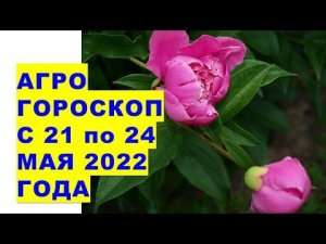 Агрогороскоп с 21 по 24 мая 2022 года