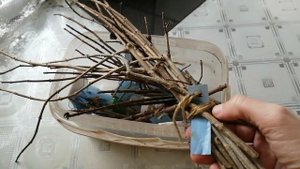 Зачем покупать таблички для растений?Сделай их сама