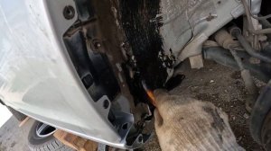 Обработка арок Пушечным салом! Skoda octavia a5.