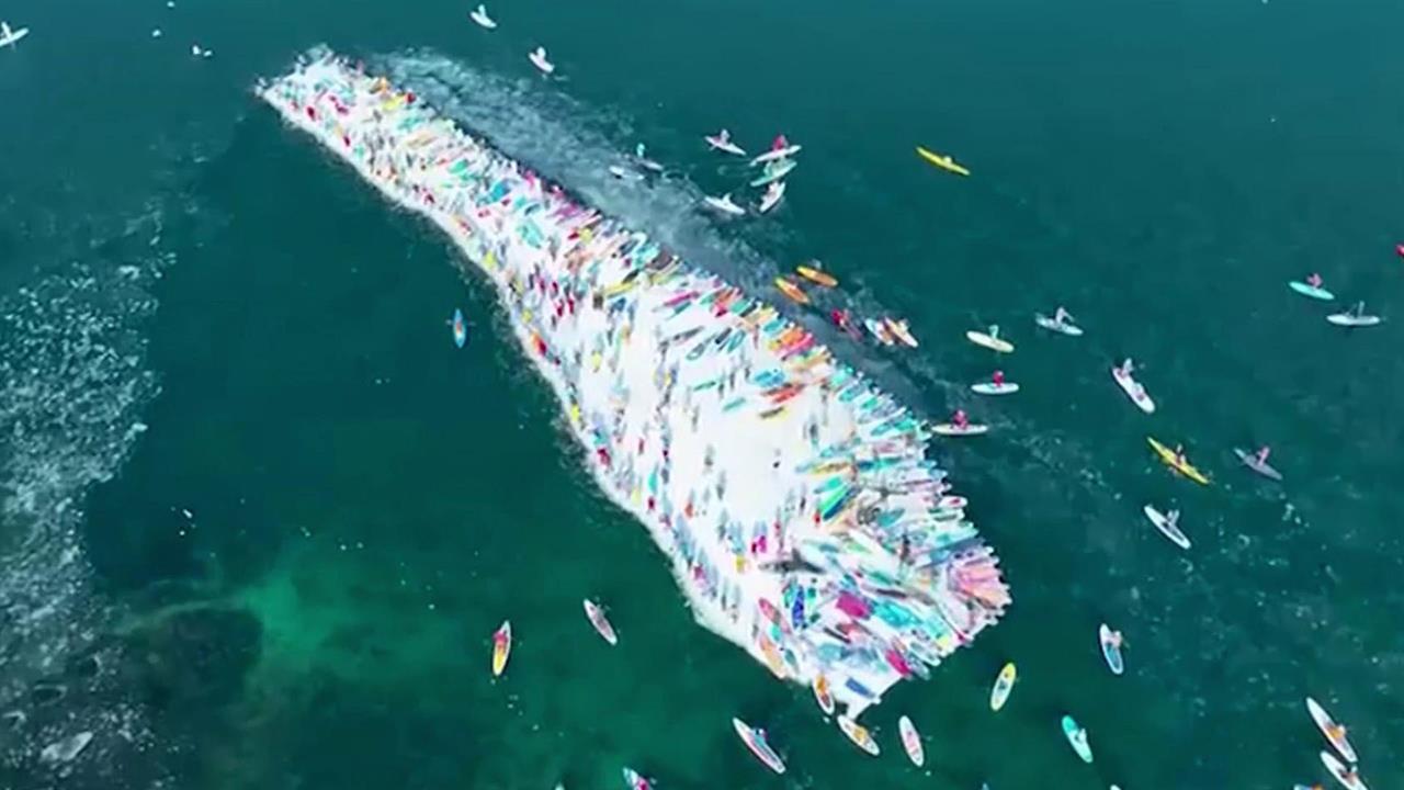 В акватории Амурского залива две сотни спортсменов угнали льдину