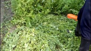 Бензокосилка Stihl FS 55 Газонокосилка Тестируем. Стоит ли покупать