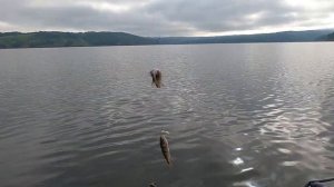 Силиконовая блесна на щуку! Блесна незацепляйка на щуку! Силиконовые приманки. Рыболовные приманки