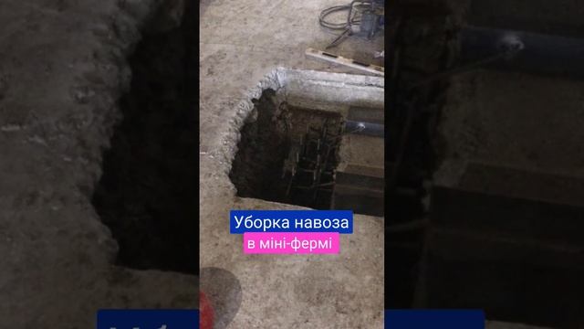 Уборка навоза в міні-фермі #спдпетров