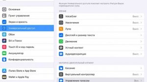 Как убрать иконку микрофона на экране ipad iOS, синяя иконка микрофона