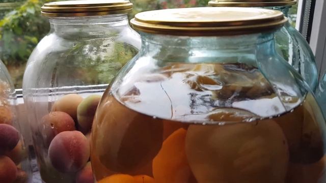 Персики. Компот на зиму. смотреть онлайн