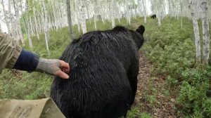 А мы идём купаться.