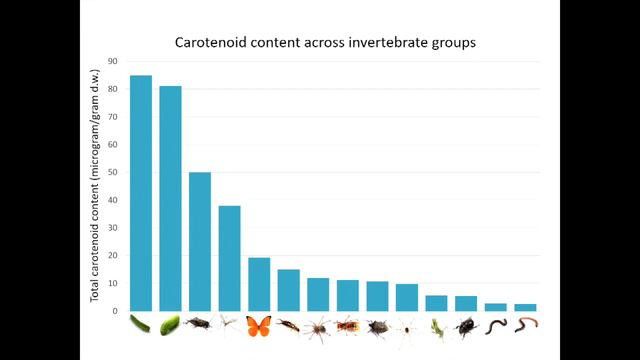 Make a Difference - Grow Natives for Climate & Wildlife смотреть онлайн