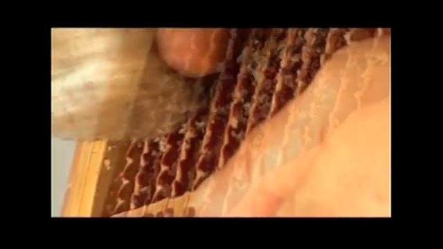 Tartufi Norcia смотреть онлайн